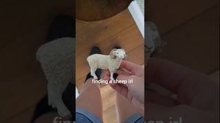 finding Schleich models irl (part 1) #schleich #sheep #horsegirl