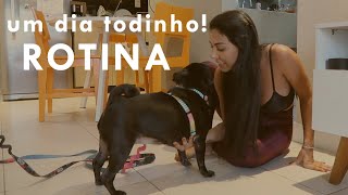 vlog ROTINA | UM DIA TODINHO COMIGO E OS PUGS 🐶