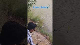 Fishing in river🎣🐟ponch river #fishing #hook#shikari #river #rod #kashmir #shorts