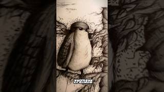 como dibujar un pájaro fácil y rápido #arte #dibujo #like #parati #tiktok #viral #suscribete #edit