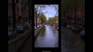 Beauty of Canals 😍 #shorts #shortsvideo #viral #nature #fyp