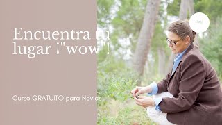 Encuentra tu lugar ¡WOW!!. Curso para novias