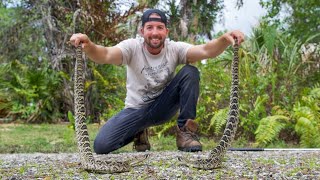 Double Rattlesnake Catch and Rare Kingsnakes