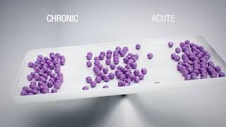 Mode of Action of oral enzymes