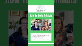 How To Help Animals with Joan Ranquet Welcomes Sophie Gamand