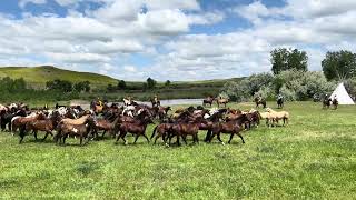 “The Great Horse Made The Great Warrior” 2024 Battle Of The Little Bighorn Reenactment