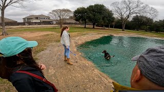 Time-Lapse of a visit to a local Dog Park! January 2023