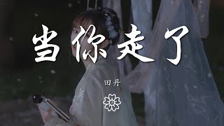 田丹 - 當你走了『Baby 當你走了』【動態歌詞Lyrics】