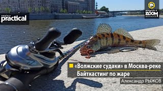 «Волжские судаки» в Москва-реке. Байткастинг по жаре. Александр Рыжов. Anglers Practical