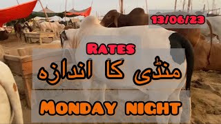 Northern Bypass Mandi Rates | Karachi Mandi | Mandi live | Malir Mandi | Jameel Memon