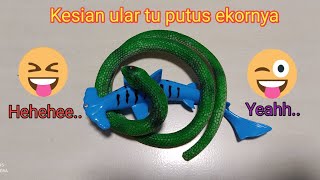 Ular putus ekor