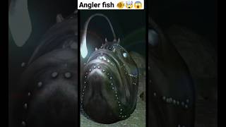 Angler fish 🐠 light emitting fish 🐟#shorts #animation #3d #facts #informative 8/5/2023