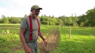 Burnett Farms - Organic Veggies - Cows - Pigs - Bovina Open Barn & Studio