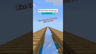 Breath Hold Challenge|Medium level #shorts #minecraft #viral