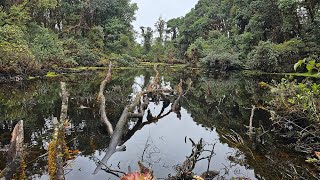 Hike a las lagunas del Volcàn Barva y laguna Copey