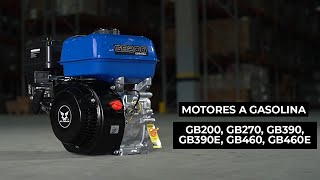 Motor à Gasolina - ZS Power | MGL do Brasil