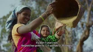 Closing the Crop Gap: Sunita's Story | India