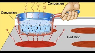 Solution of SPL Heat Conduction Model underNeumann Boundary Condition