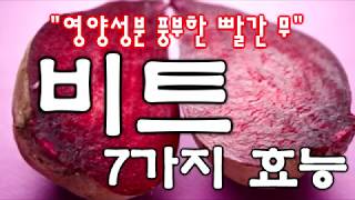 영양성분 풍부한 빨간 무 '비트' 7가지 효능