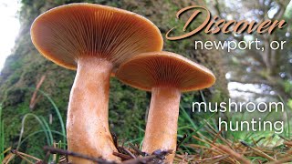 Mushroom Hunting in Newport Oregon