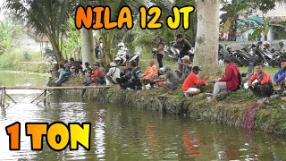 MANTAP JIWA !! BORONGAN NILA 12 JUTA 40 PESERTA