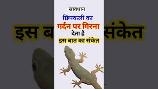 छिपकली का गर्दन पर गिरना । Chipkali ka Gardan per girna | Lizard Fall On Neck | #Chipkali