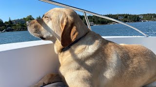 Boating from Rockland Maine to Deer Isle Maine sept 5 2022