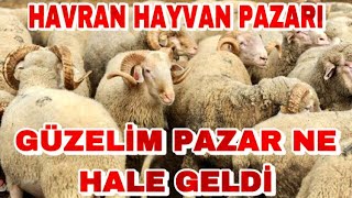 HAYVAN PAZARI YANIYOR | 2022'NİN EN UCUZ PAZARI