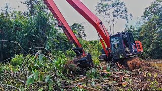 Kerjaan Begini Excavator Long Arm Paling Sesuai‼️Cuci Kolam Terbiar Bertahun-tahun