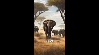 The Mighty Elephants of the African Savannah