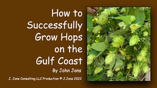 How to Successfully Grow Hop Plants on the Gulf Coast