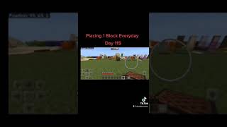 Placing 1 Block Everyday In #minecraft day #115