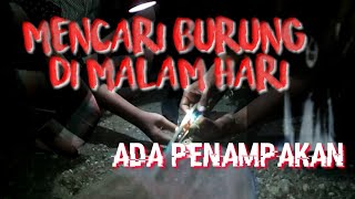 MENCARI BURUNG DI MALAM HARI TIDAK SADAR ADA PENAMPAKAN