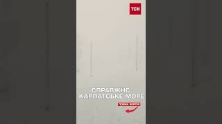 Унікальне явище подарувала зима в Карпатах