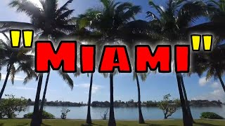 AS INCRIVEIS PAISAGENS DE MIAMI #MundoIncrível