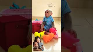 cute baby monkey khel raha khilaunon se