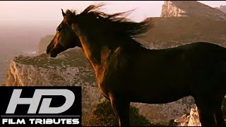 The Black Stallion • Soundtrack Suite • Carmine Coppola