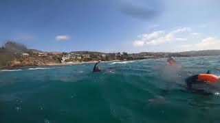 Snorkeling Day Shaw’s Cove Laguna Beach Ca