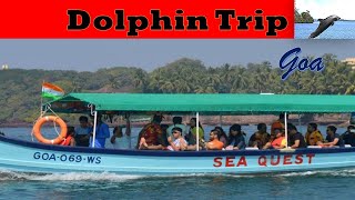 Dolphin Tour at Miramar Beach Goa, गोवा डॉल्फिन Trip #GoaDiaries