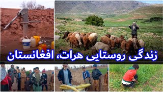 نفس تازه در روستا / لحظاتی ز غوغای جهان فارغ