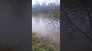 ON THE LEVEE AT GRANGEFIELD, STOCKTON-ON-TEES BOXING DAY 2015