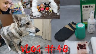 Aloy si rozřízla tlapku a další věci :D| VLOG #48