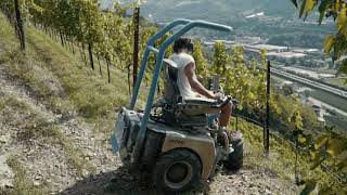 Terrazzamenti coltivati a vite in Valle Isarco