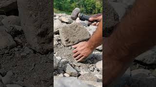 Fossil Hunting on the river bed