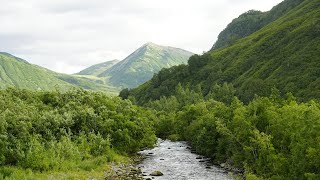 Путешествие на Камчатку.  Часть 6.  Сопка Горелая