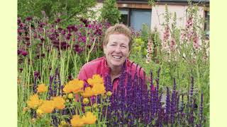 Rosy Hardy, perennial Grower - in conversation