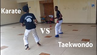 Shotokan Karate VS Taekwondo