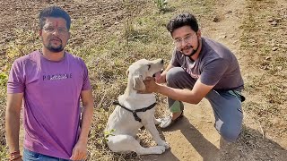 मौगली कहाँ चला गया?😨😨😨#baawalechorevlogs #dailyvlog #mogalimissing #missingmogali #cowlover