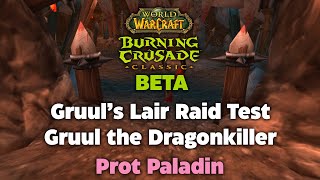 TBC Beta Gruul's Lair Raid Testing - Gruul the Dragonkiller - Prot Paladin