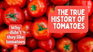 History of Tomatoes: From Ignorable Fruit to Global Favorite!